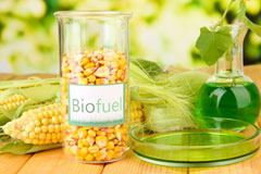 Panpunton biofuel availability