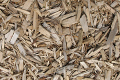 biomass boilers Panpunton