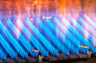 Panpunton gas fired boilers